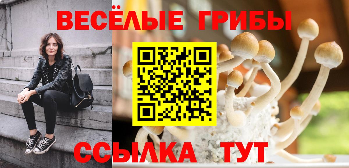 Новочебоксарск  Псилоцибиновые грибы Cubensis  сколько стоит  Вход с VPN 