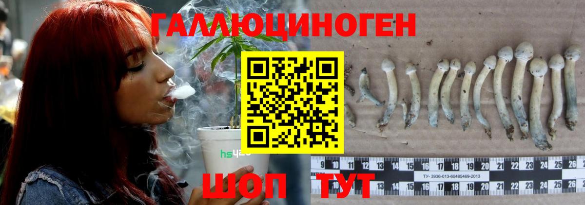 Псилоцибиновые грибы прущие грибы Новочебоксарск